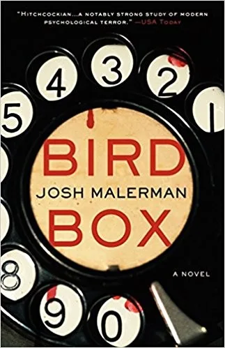 Bird Box cover