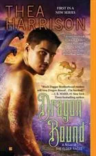 Dragon Bound cover